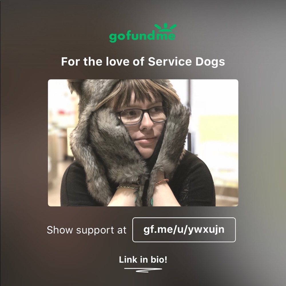 GoFundMe “For the Love of Service Dogs”